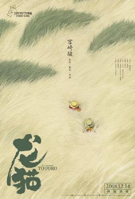 做个假以色列护照